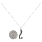 Sterling Silver 18 Inch Octopus Tentacle Necklace with Dime