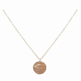 Bronze Lion Head Coin Necklace with Gold Fill Chain Front View