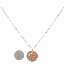 Bronze Lion Head Coin Necklace with Gold Fill Chain with Dime