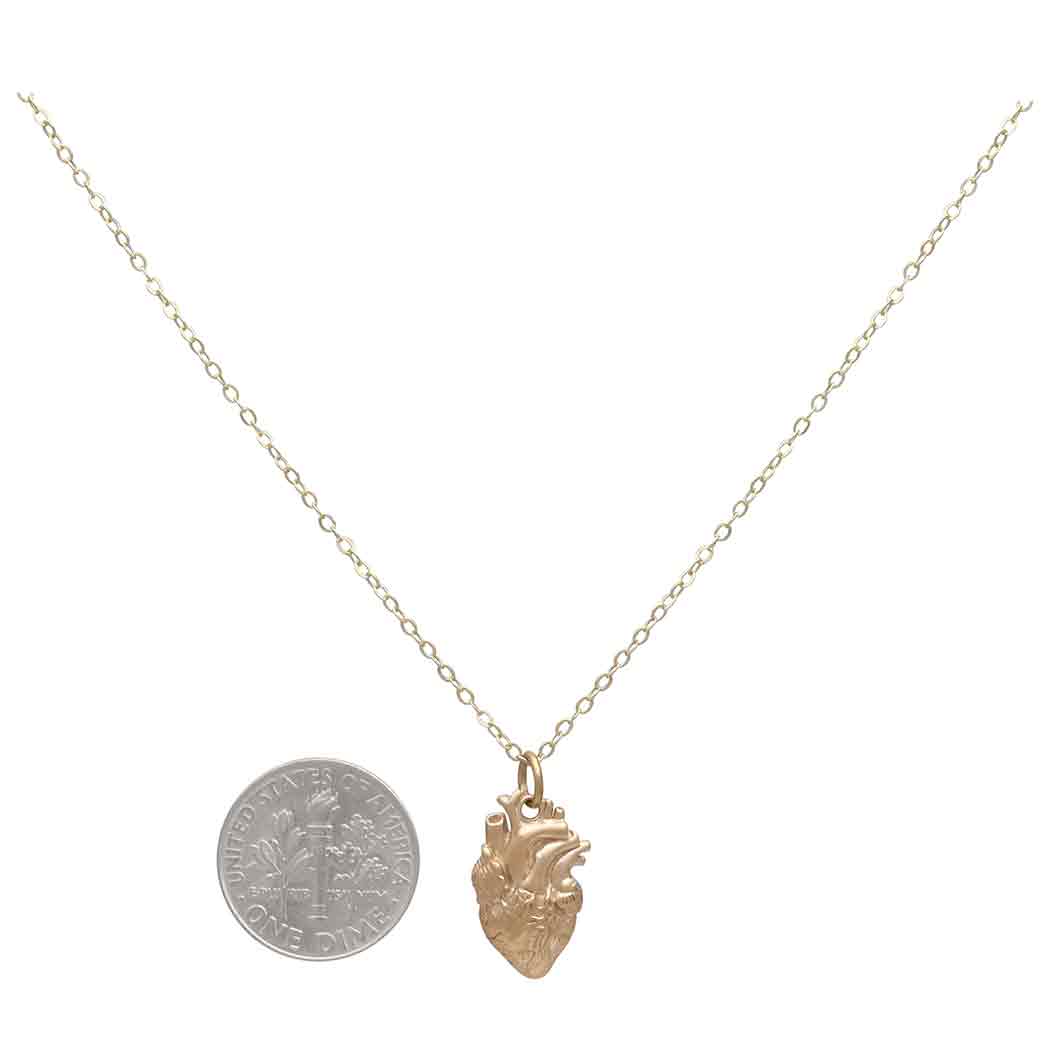 Bronze Anatomical Heart Necklace with Gold Fill Chain with Dime