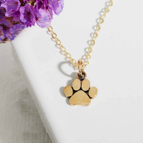Bronze Paw print Necklace with Gold Fill Chain
