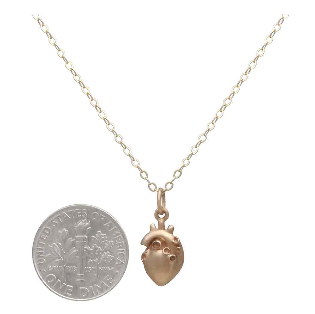 Bronze 3D Anatomical Heart Necklace with Gold Fill Chain with Dime