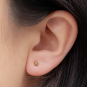 Solid 14K Gold Dot Post Earrings on Ear