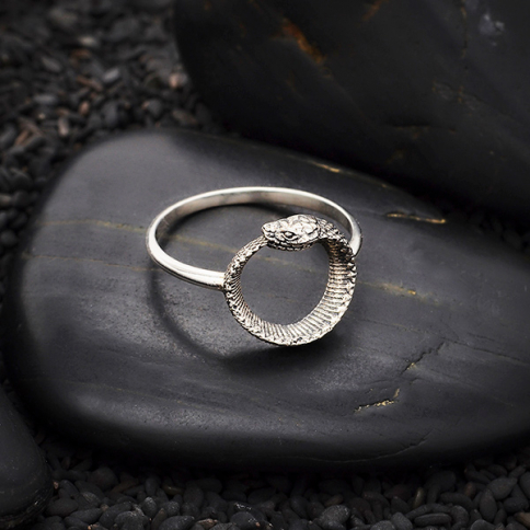 Sterling Silver Ouroboros Ring with Snake on Front