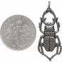 Sterling Silver Stag Beetle Charm - Bug Charm 30x12mm