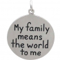 Silver Message Pendant -Family Means the World DISCONTINUED