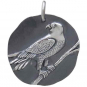 Sterling Silver Falcon Coin Pendant 25x22mm