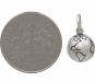 Sterling Silver 3D World Charm 14x8mm