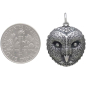 Sterling Silver Barn Owl Face Charm with Dime