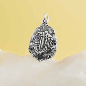 Sterling Silver Trilobite Fossil Pendant 24x14mm