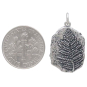 Sterling Silver Fern Fossil Pendant with Dime