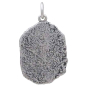 Sterling Silver Fern Fossil Pendant Back View