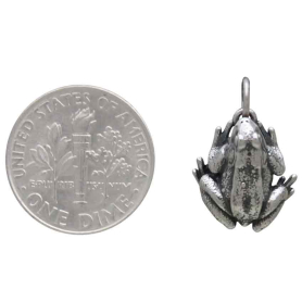 Sterling Silver Dimensional Frog Charm