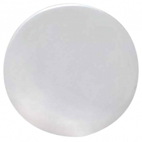 Sterling Silver 18mm Solid Circle Post Earrings 18x18mm