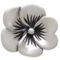 Sterling Silver Pansy Post Earrings 8x8mm