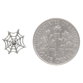Sterling Silver Small Spiderweb Post Earrings with Dime