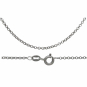 Silver Delicate Round Faceted Cable Chain white backgorund