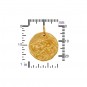 Ancient Coin Charm - Lion - 24K Gold Plated Bronze 24x20mm