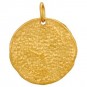 Ancient Coin Charm - Lion - 24K Gold Plated Bronze 24x20mm