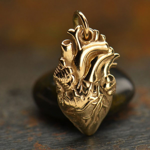 Anatomical Heart Jewelry Charm - Bronze 21x10mm