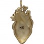 Anatomical Heart Jewelry Charm - Bronze 21x10mm