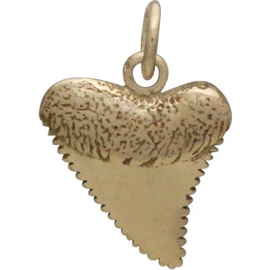 Bronze Shark Tooth Jewelry Charm 17x11mm