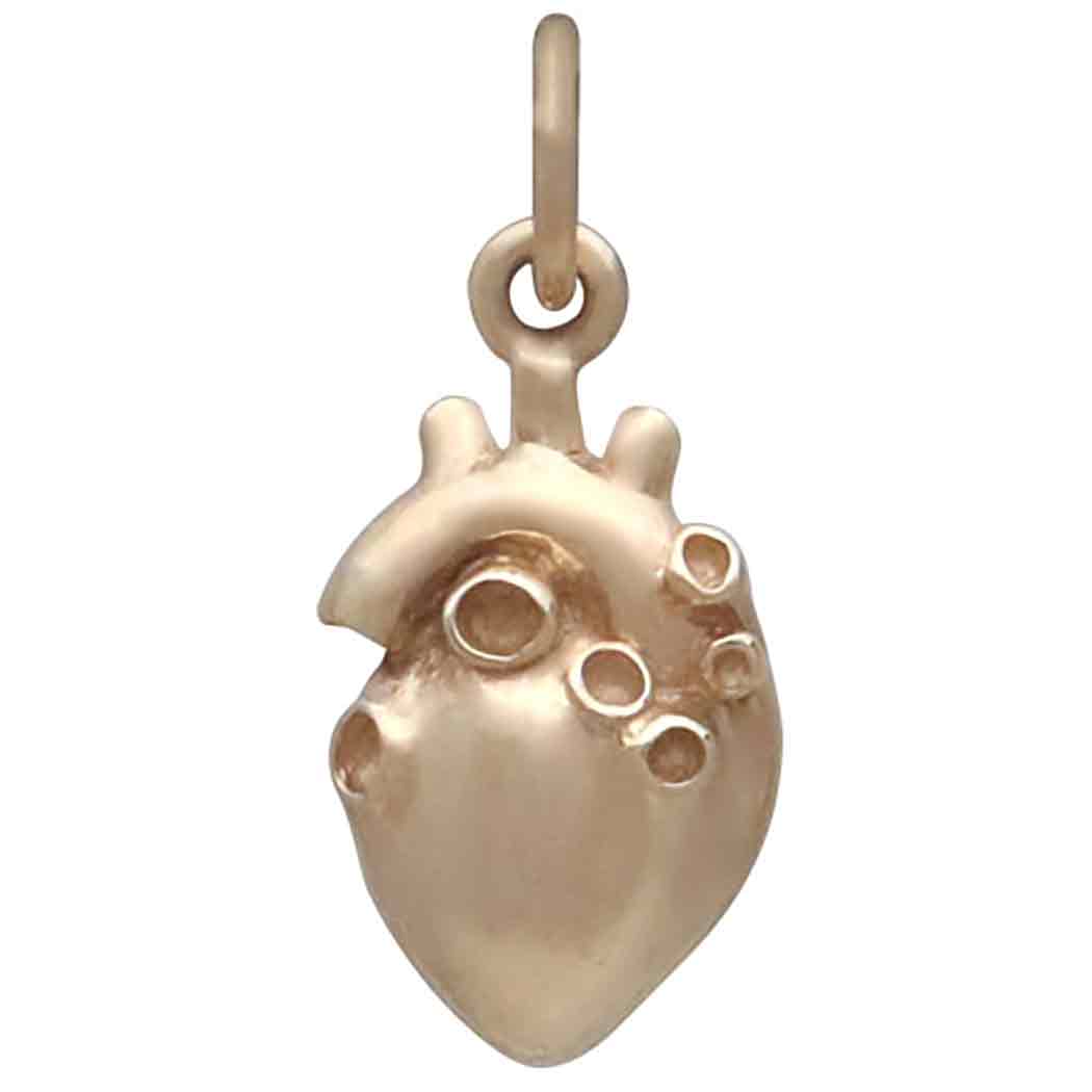 Bronze Small 3D Anatomical Heart Charm Front View