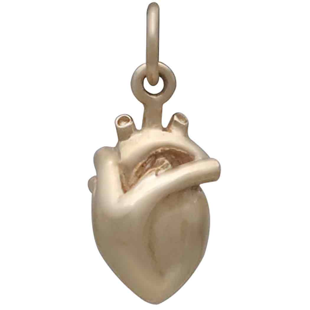 Bronze Small 3D Anatomical Heart Charm Back View