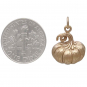 Bronze Dimensional Pumpkin Charm