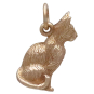 Bronze 3D Cat Pendant Front View