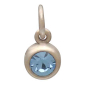 Bronze December Birthstone Charm Front View