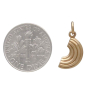 Bronze Macaroni Pasta Charm with Dime