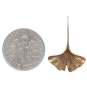 Bronze Ginkgo Leaf Earrings 22x14mm dime view