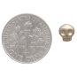 Bronze Mini Skull Post Earrings with Dime