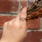 Bronze Adjustable Sprig Ring on HAnd