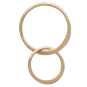 Bronze Two Circles of Life Link 17x27mm Back View