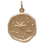 Bronze Wax Seal North Star Charm Front View