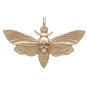 Bronze Deaths Head Moth Pendant with Skull Front View