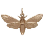 Bronze Deaths Head Moth Pendant with Skull Back View