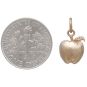 Bronze 3D Golden Apple Charm with Dime