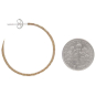 Bronze Hammer Finish Hoop Earrings on Silver Post 30x30mm with Dime