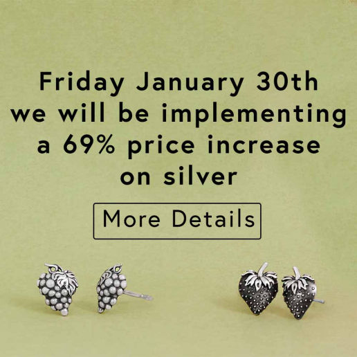 On Friday January 30th we will be implementing a 69% price increase on silver.