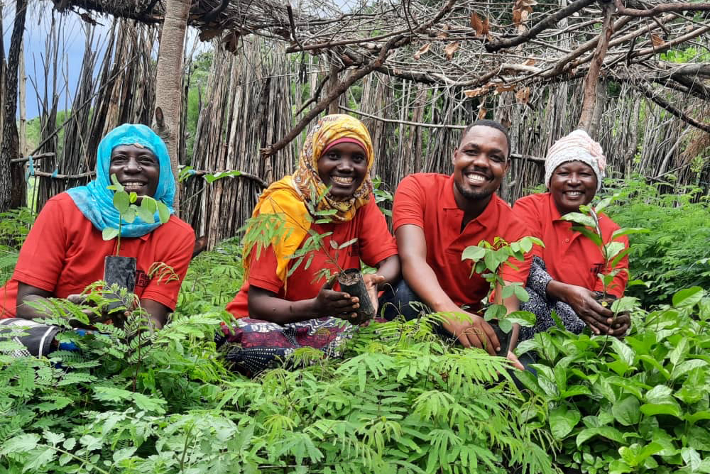 People Planting Trees