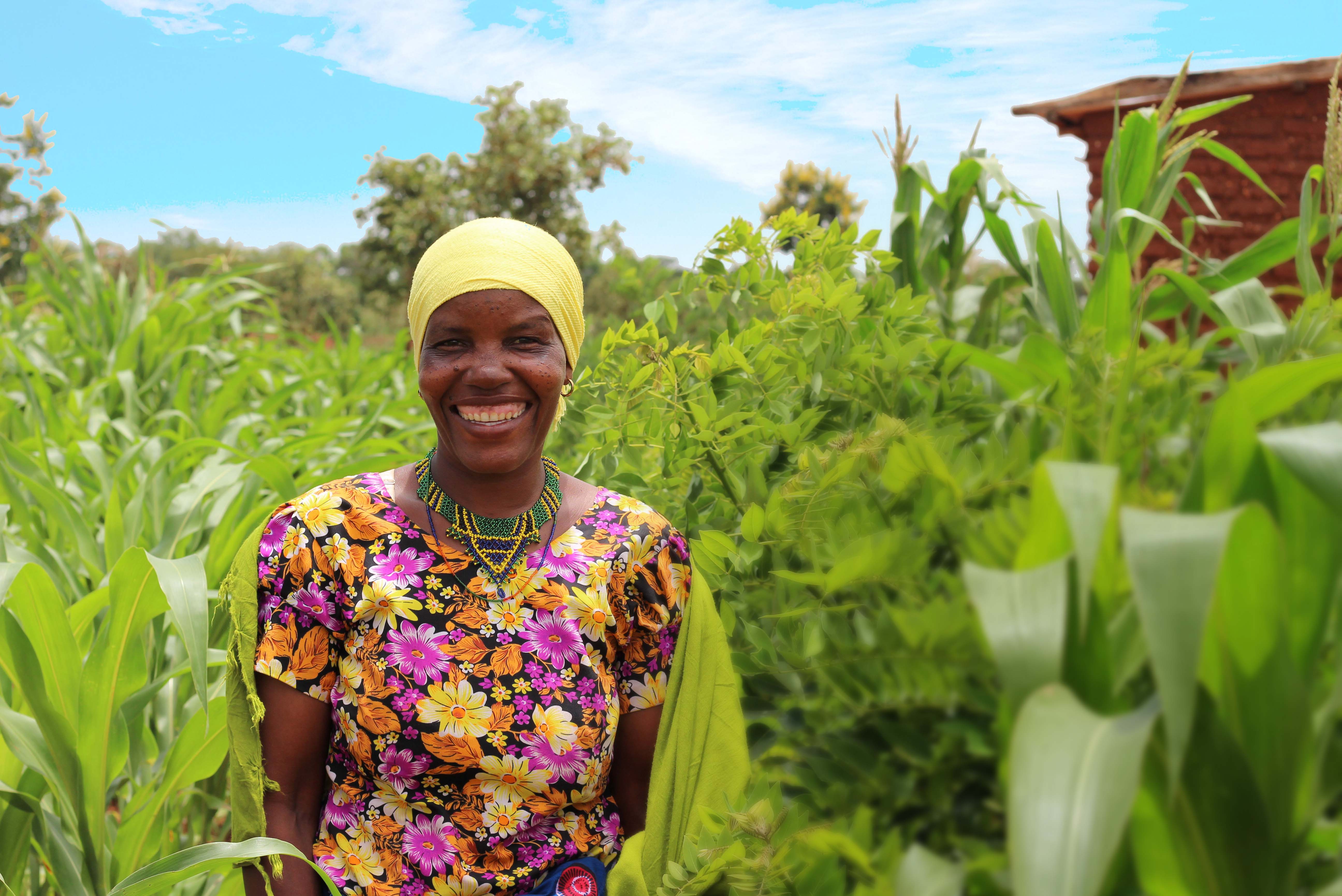 Women in Field of Plants