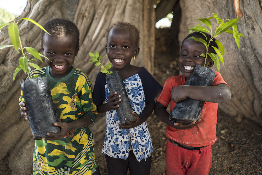 Little Boys Holding Baby Trees