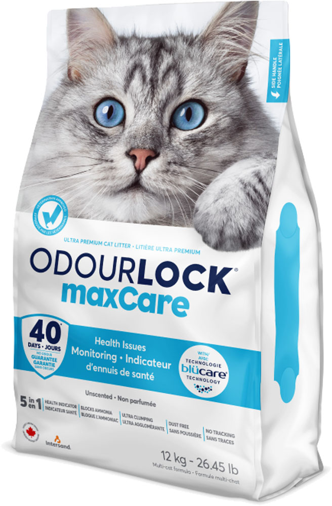 INTERSAND ODOUR LOCK Maxcare Unscented Litter 12kg | Maddies Natural ...