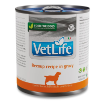 FARMINA VET LIFE Dog Recoup Recipe in Gravy 6/300g