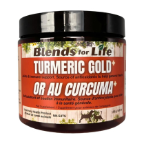 BLENDS For Life Turmeric Gold+ 175g