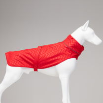 LINDODOGS SoftShell Red Stripe Raincoat Size 2