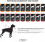 LINDODOGS SoftShell Magnetic Raincoat Size 2